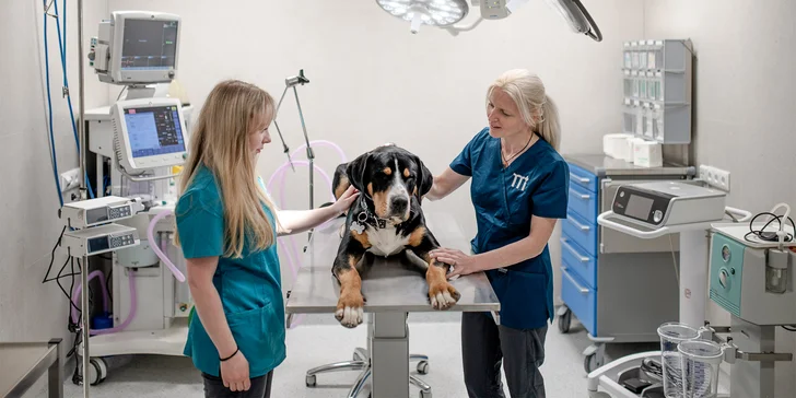 Dopřejte svému mazlíčkovi tu nejlepší péči: otevřené vouchery do kliniky Medicanima