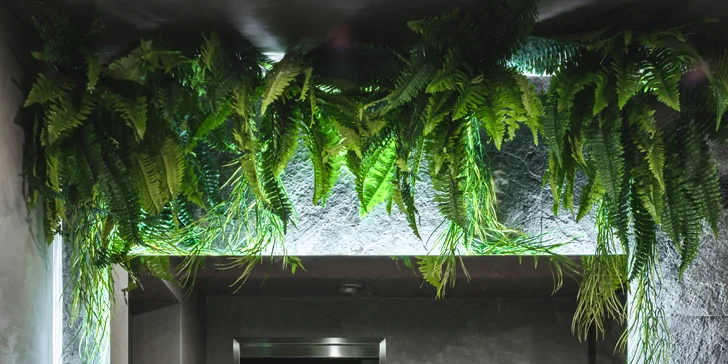 Elegantní privátní wellness pro dva na 2-3 hodiny: vířivka, sauna i lahev prosecca