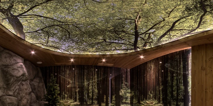Relax u lázní Terma Bania a Zakopaného: neomezený wellness, možnost vstupu do lázní