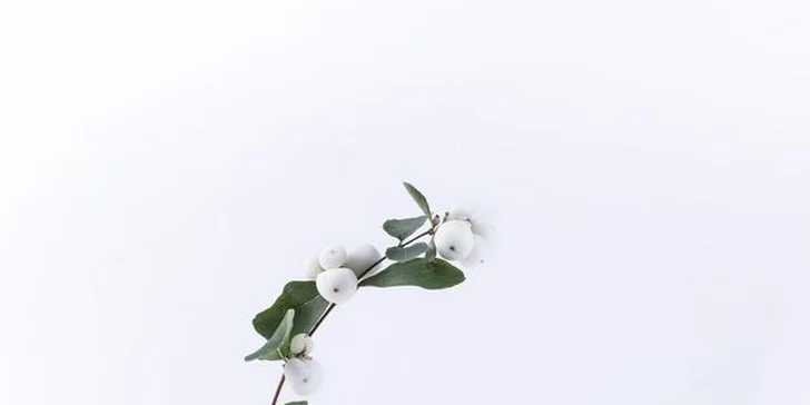 Kurz výroby 12 vánočních dárků: sójové svíčky, balzámy na rty i tělový krém, 1-2 osoby