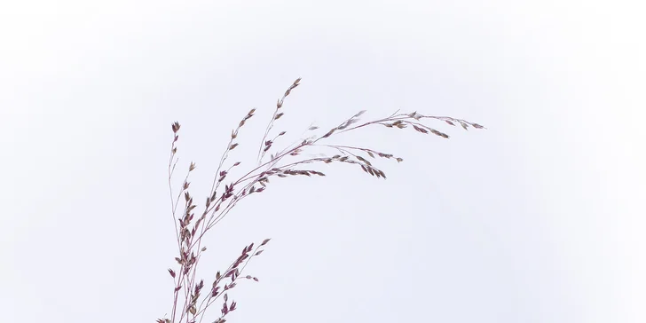 Kurz výroby 12 vánočních dárků: sójové svíčky, balzámy na rty i tělový krém, 1-2 osoby