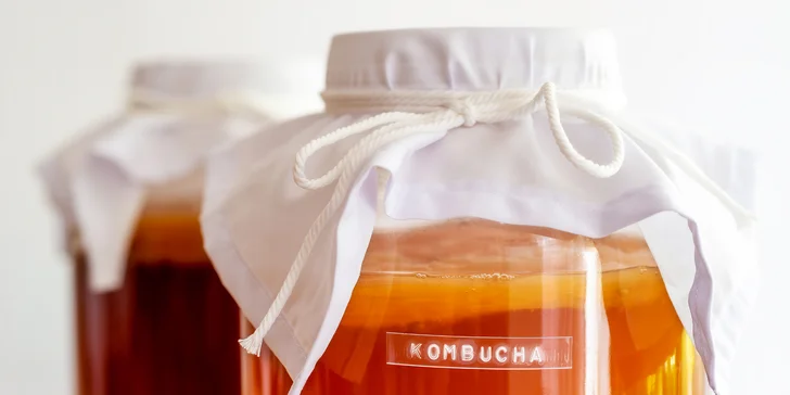 Workshop fermentování nápojů: kombucha, kefír i limonáda pro 1-2 osoby