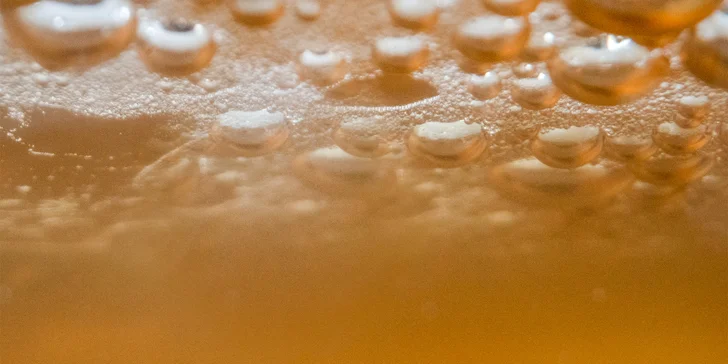 Workshop fermentování nápojů: kombucha, kefír i limonáda pro 1-2 osoby