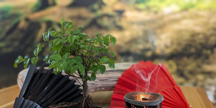 Sauna i s rituálem, masáží, lekcí Čchi-Kungu či drinkem pro 1–6 osob: 90 nebo 150 min.