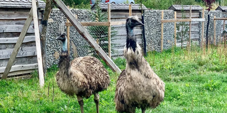 Srubové chatky na Oravě pro pár i rodinu: polopenze, wellness a mini zoo