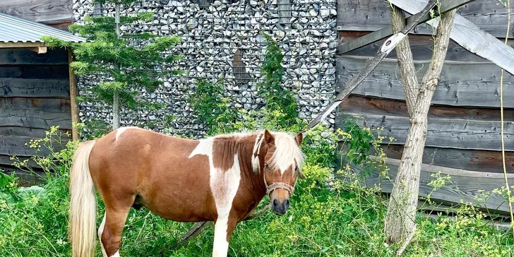 Srubové chatky na Oravě pro pár i rodinu: polopenze, wellness a mini zoo