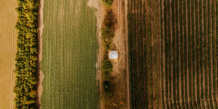 Glamping ve Velkých Pavlovicích přímo u vinice s výhledem na Pálavu