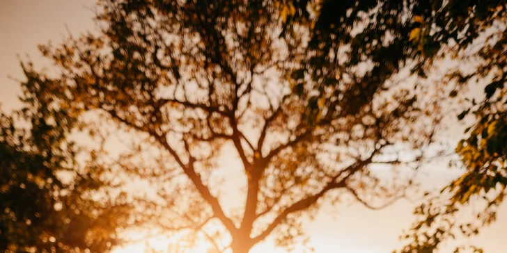 Glamping ve Velkých Pavlovicích přímo u vinice s výhledem na Pálavu