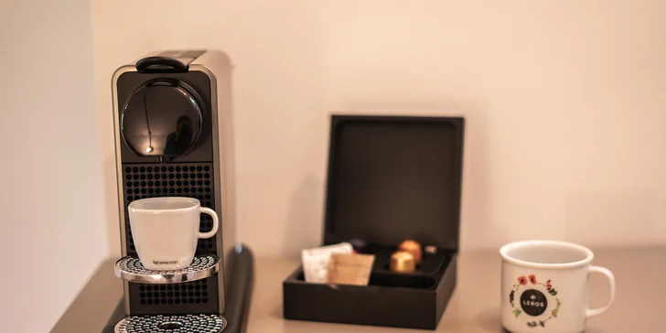 Krásný boutique penzion ve Velkých Bílovicích s vinným sklípkem a barem