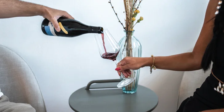 Krásný boutique penzion ve Velkých Bílovicích s vinným sklípkem a barem