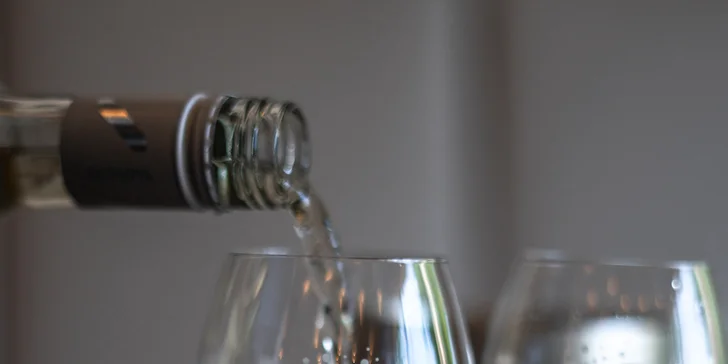 Krásný boutique penzion ve Velkých Bílovicích s vinným sklípkem a barem
