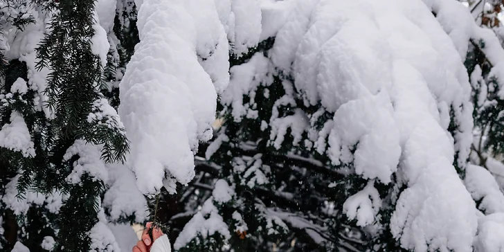 Individuální, párové nebo rodinné focení v exteriéru: 30–60 minut, až 70 upravených fotografií