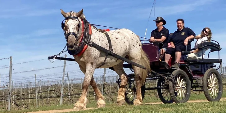 Horse Farm Lechovice: hodinová romantická projížďka v kočáře pro partu až 5 osob