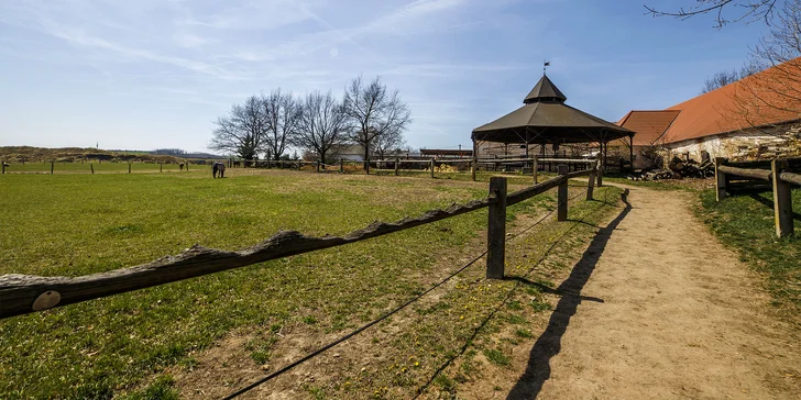 Horse Farm Lechovice: hodinová romantická projížďka v kočáře pro partu až 5 osob