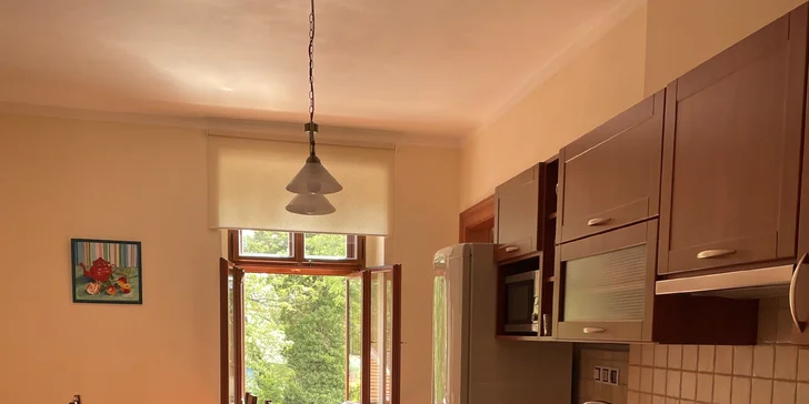 Apartmány u NP Šumava pro páry i rodiny: historické prostory, možnost pivních lázní a sauny