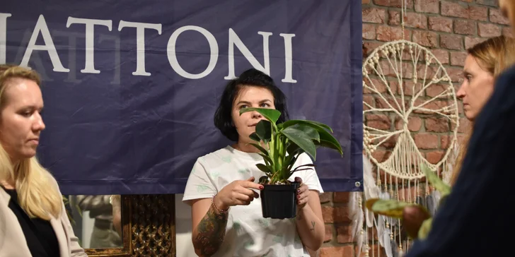 Dárek pro milovníky zeleně: floristika pro začátečníky, výroba kokedamy nebo terária