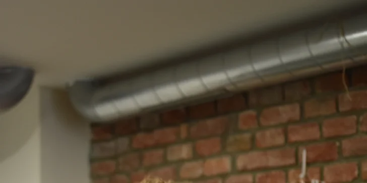 Dárek pro milovníky zeleně: floristika pro začátečníky, výroba kokedamy nebo terária