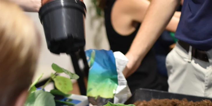 Dárek pro milovníky zeleně: floristika pro začátečníky, výroba kokedamy nebo terária