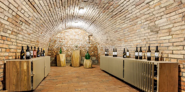 Krásný boutique penzion ve Velkých Bílovicích s vinným sklípkem a barem