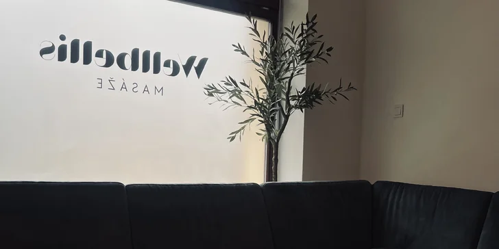 Masáž dle výběru: thajská, aroma olejová, párová, filipínská i lávové kameny
