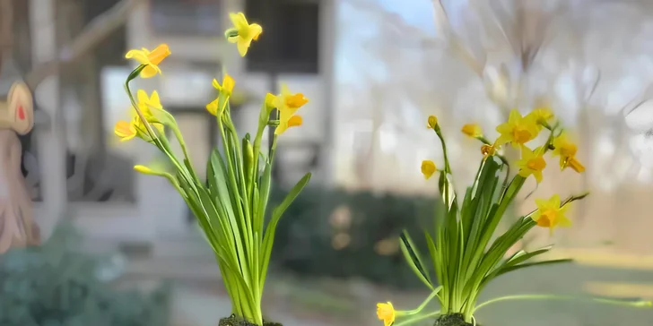 Workshop v květinářství Carmen Flora: mechové obrazy, svíčky, náramky i tématické dekorace