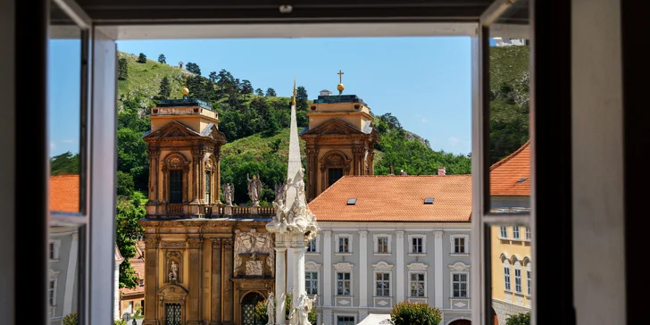 Pro milovníky vína a umění: řízená degustace s občerstvením a prohlídka galerie