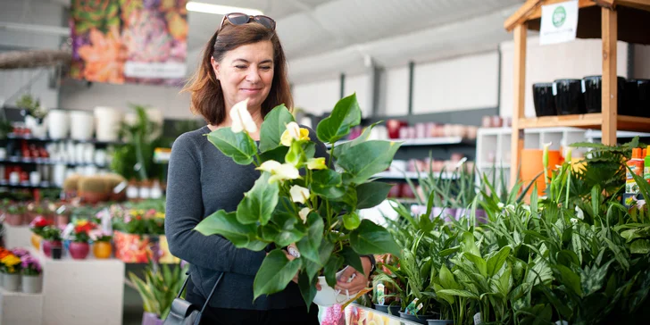 Kurz péče o pokojové rostliny: základy, inspirace i praktické návody