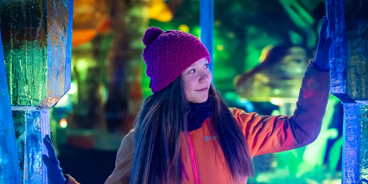 Ledový park ICE MAGIC: vstupenky na největší ledovou výstavu v ČR i do ledového baru
