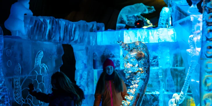 Ledový park ICE MAGIC: vstupenky na největší ledovou výstavu v ČR i do ledového baru