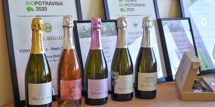 Pro milovníky vína a umění: řízená degustace s občerstvením a prohlídka galerie