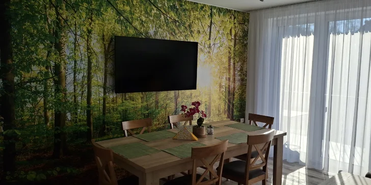 Odpočinek na Dolní Moravě: krásný apartmán s balkonem až pro 6 osob