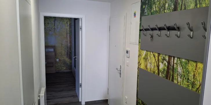Odpočinek na Dolní Moravě: krásný apartmán s balkonem až pro 6 osob