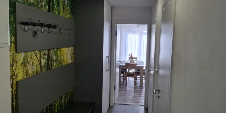 Odpočinek na Dolní Moravě: krásný apartmán s balkonem až pro 6 osob