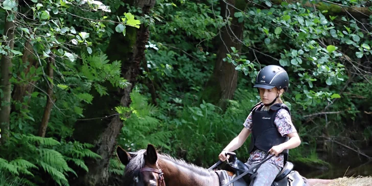 Projížďka libereckou krajinou: 10 až 60 minut v sedle i péče o koníky