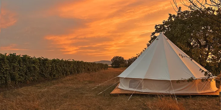 Glamping ve Velkých Pavlovicích přímo u vinice s výhledem na Pálavu