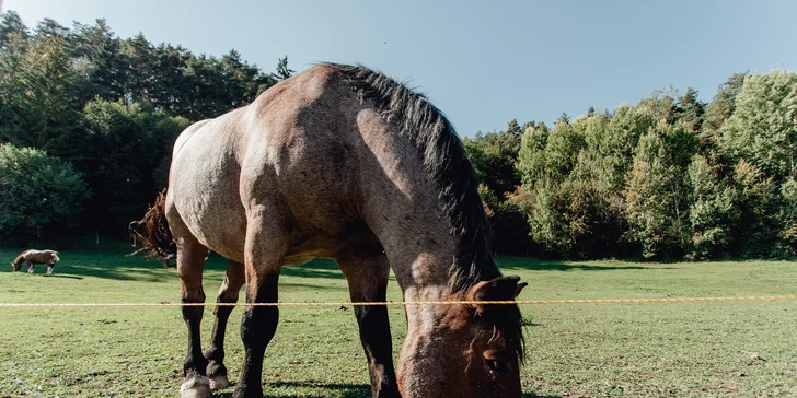 Rodinná dovolená na Liptově: atrakce pro děti i dospělé, animátoři a krásná příroda