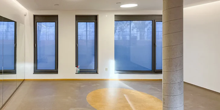 Skupinové a individuální lekce zdravotního cvičení pro podporu mobility, pružnosti a správného držení těla