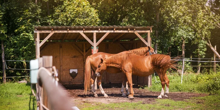 Pobyt v Klášterci nad Ohří se snídaní, košem dobrot i projížďkou na koni