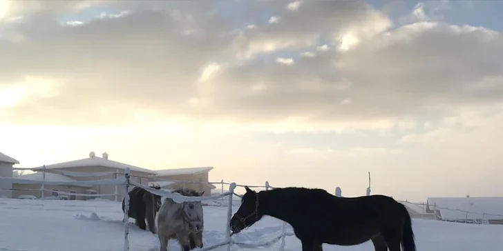 Německá strana Šumavy: rodinný hotel s all inclusive, wellness, jízdárnou, animačním programem jen 20 km od hranic
