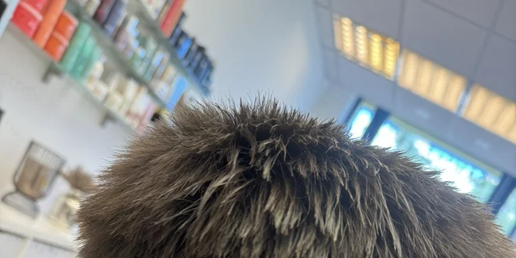 Profesionální pánský střih se závěrečným stylingem