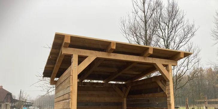 Projížďka na poníkovi pro děti i jízda na koni pro dospělé: 30-60 minut