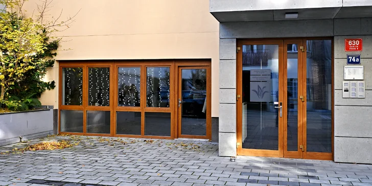 Dvou až tříhodinový workshop malování akrylem s možností použití plátkového zlata i stříbra vč. pomůcek