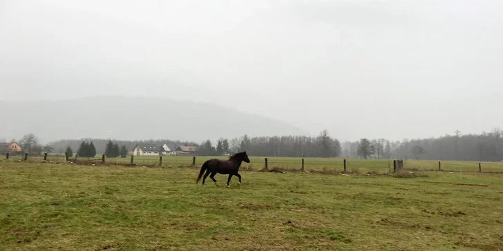 Projížďka na poníkovi pro děti i jízda na koni pro dospělé: 30-60 minut