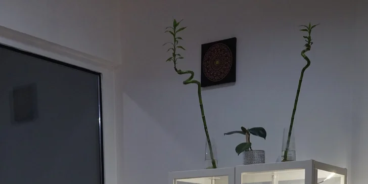 Apartmány v centru Poděbrad i vč. snídaní, procedur, koupele a masáže