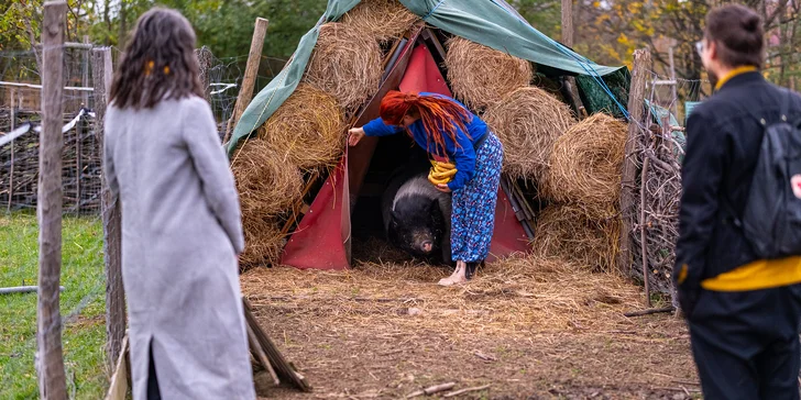 Zážitková prohlídka Pastviny s krmením i mazlením zvířátek pro celou rodinu