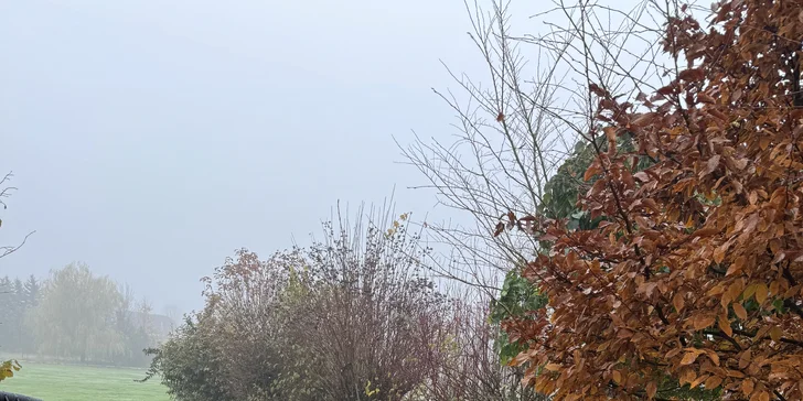 Pobyt u obory s daňky v Lužických horách: tiny house i se snídaní pro 2 osoby