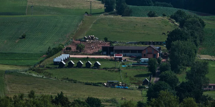 Vyjížďka na fjordském koni pro jednoho i pár: 60 minut, zapůjčení vybavení