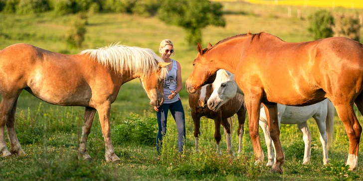 Vyjížďka na poníkovi pro děti včetně péče o něj: vhodné pro děti od 4 do 16 let, čt–ne
