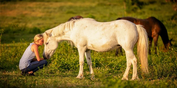 Vyjížďka na poníkovi pro děti včetně péče o něj: vhodné pro děti od 4 do 16 let, čt–ne