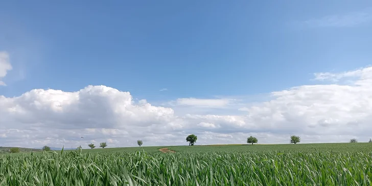 Pobyt ve vinném sklípku v podhůří Chřibů až pro 8 osob